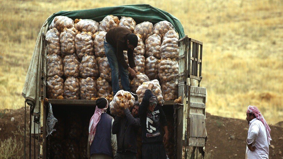 العراق يعيد شحنة بطاطا إلى إيران لإصابتها بآفة زراعية