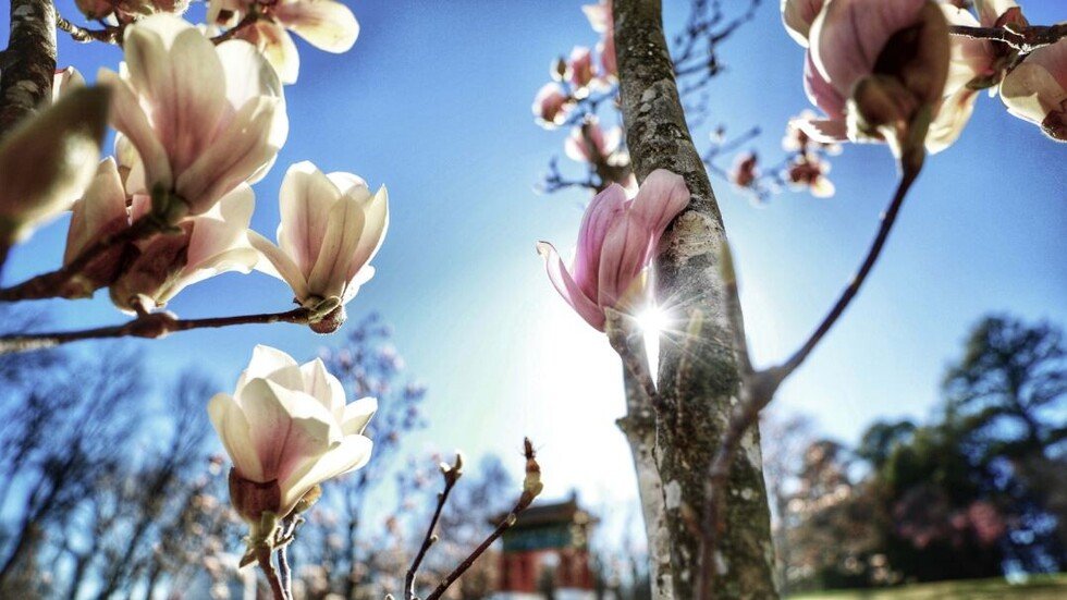 معلومات الفيس "غير دقيقة".. القبلة في سوريا ليست بـ 500 ليرة