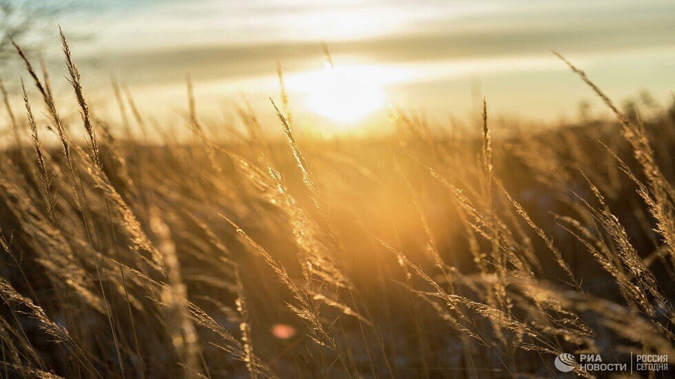 علماء: الشمس كانت طوال الصيف في "سبات"