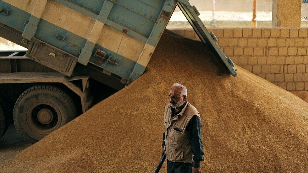 تقرير أممي: تضاعف محصول القمح في سوريا هذه السنة مقارنة بالعام الماضي