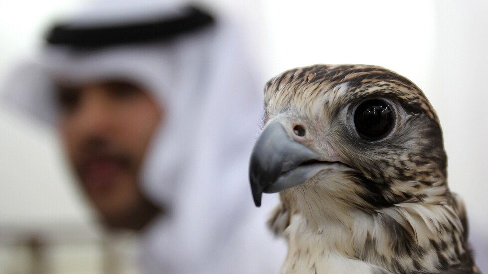 خبراء قطريون يعرضون المساعدة على روسيا
