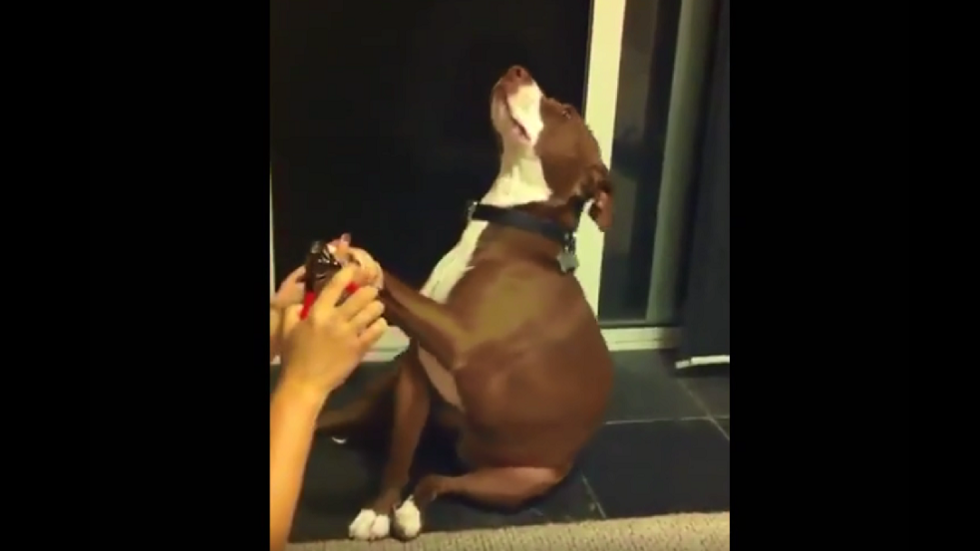 "لا تقصي أظافري".. أوسكار أفضل إغماء