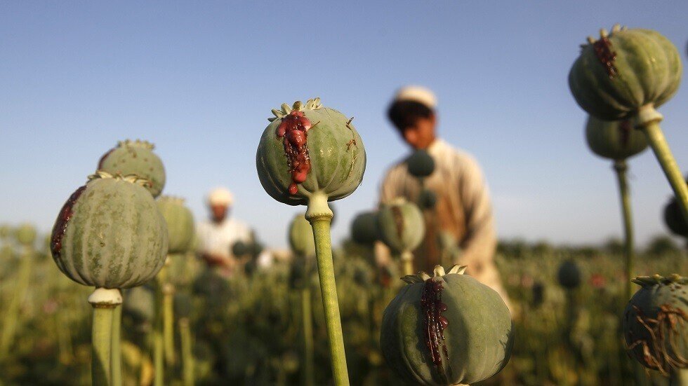 إيران تضبط أطنانا من المخدرات كانت في طريقها إلى أوروبا