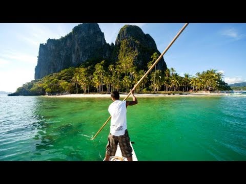 اغتصاب الغابات العذراء