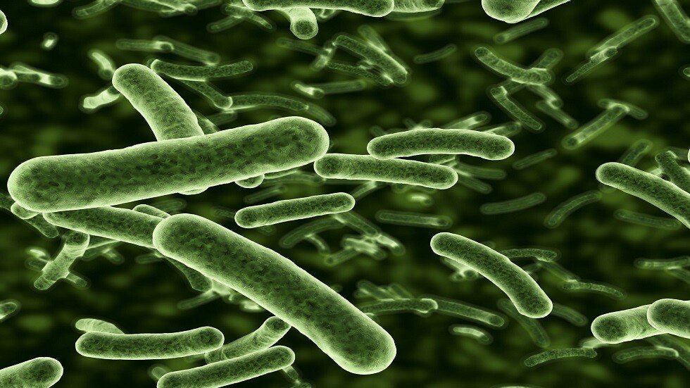 علماء يكتشفون كيفية مقاومة البكتيريا للمضادات الحيوية