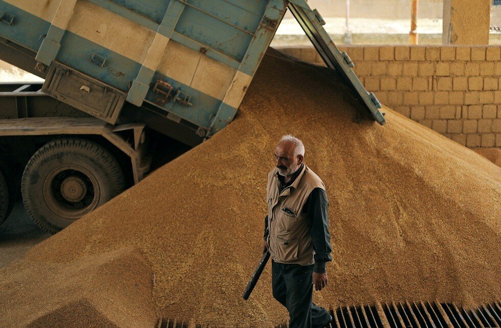 تقرير أممي: تضاعف محصول القمح في سوريا هذه السنة مقارنة بالعام الماضي