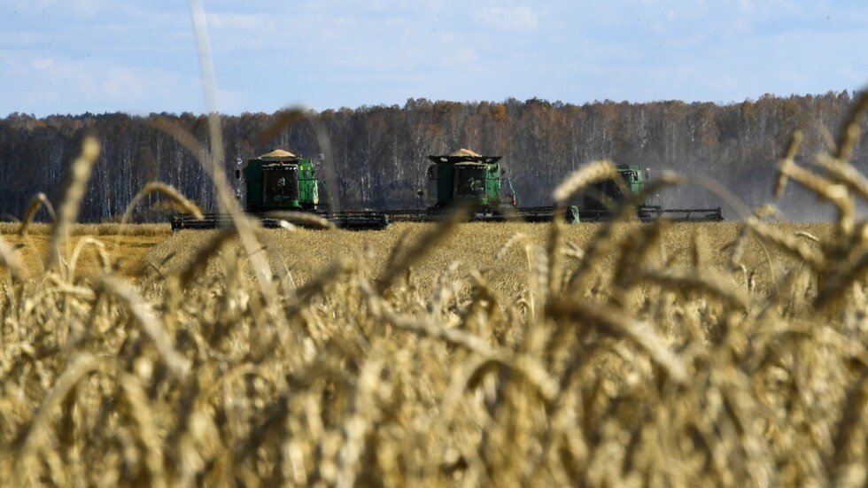 سوريا تطرح مناقصة لشراء 150 ألف طن قمح روسي