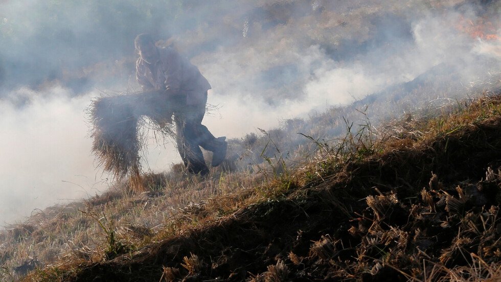 السلطات المصرية تستخدم الأقمار الصناعية لرصد مخالفات الحرائق