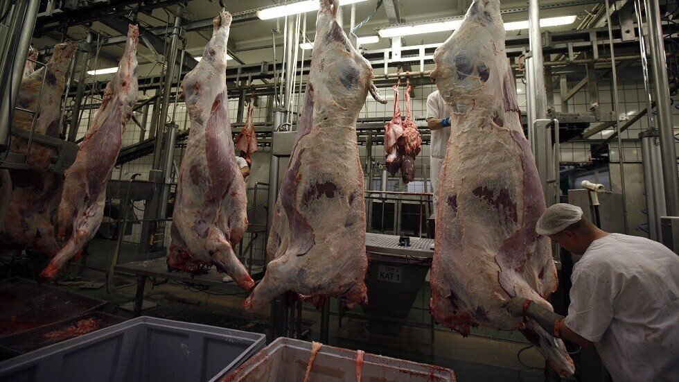 سياسية إيطالية: طلب توفير لحوم حلال في مطاعم المدارس يجسد واقعا مقلقا