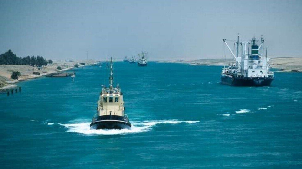 مصر.. القبض على تمساح طوله أكثر من متر بعد ظهوره في مدينة بورسعيد