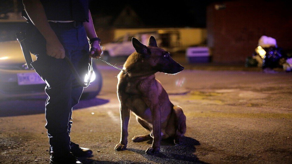 تدريب كلاب على "شم الانتحاريين" في بريطانيا