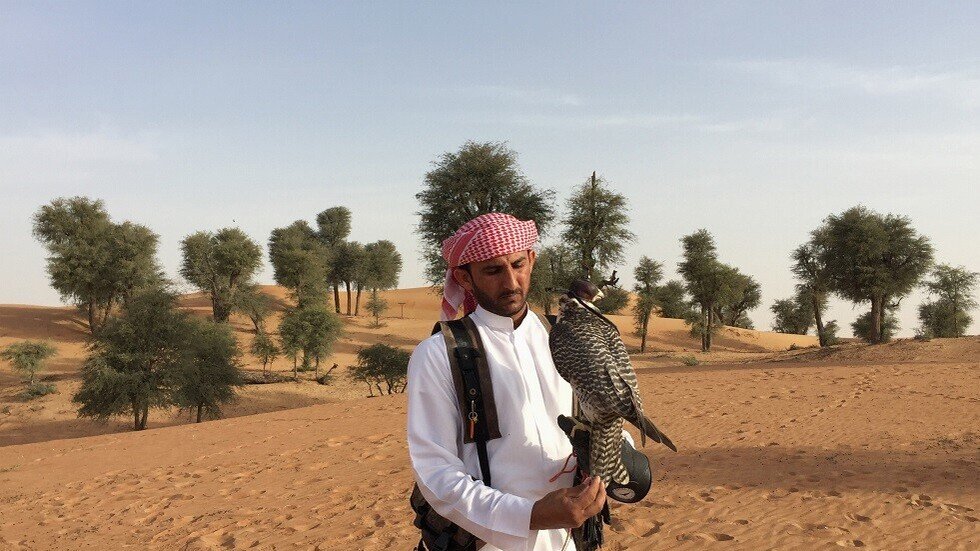 السماح مجددا للشيوخ العرب بصيد طيور الحبارى الجميلة في كازاخستان