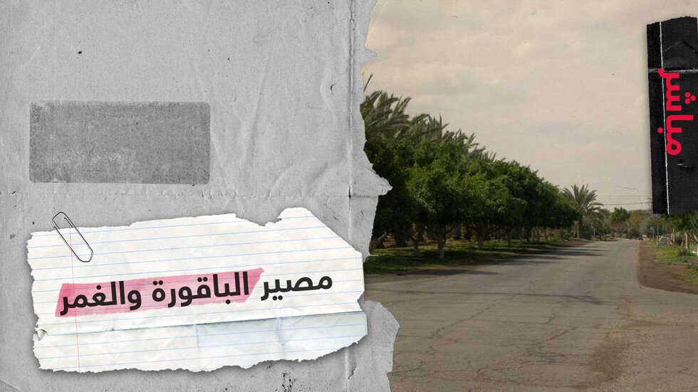 بعد عقود من الاحتلال و"التأجير" الإسرائيلي.. الأردن ينتظر استعادة الباقورة والغمر