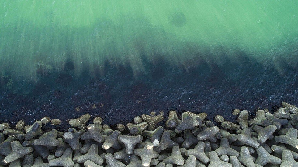 اكتشاف مفاجئ حول تطور أول الحيوانات المائية للسير على اليابسة!