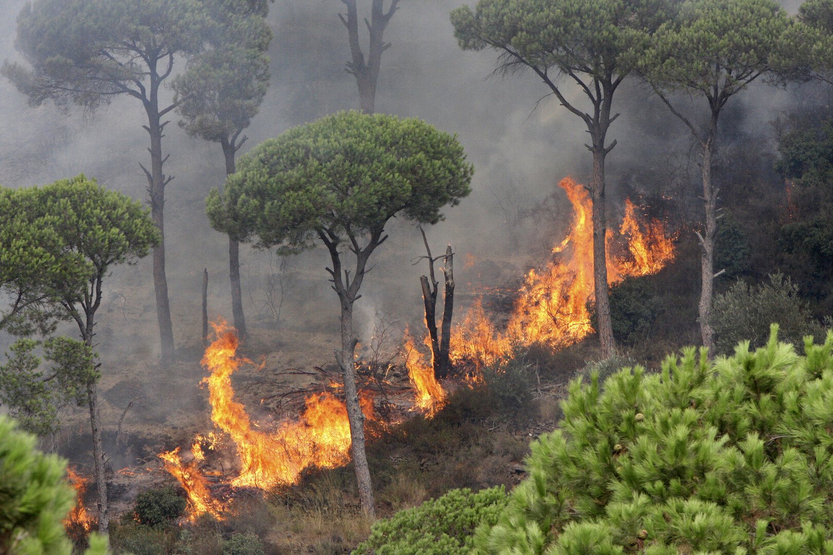 الحرائق تجتاح لبنان (فيديو)