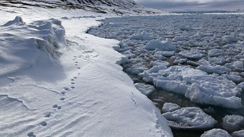 الجزر المكتشفة في القطب الشمالي قد تبين ولادة الحياة على الأرض