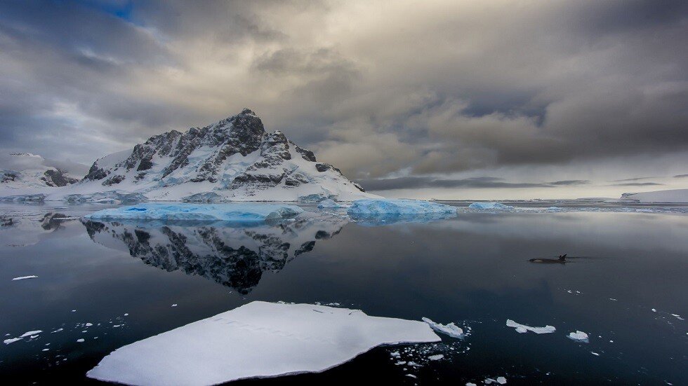 صور جديدة تكشف عن تصدعات ضخمة في أنتاركتيكا