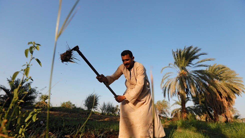 مصر.. إنهاء خصومة ثأرية بين عائلتي "المغسلين والجزارين" في قنا
