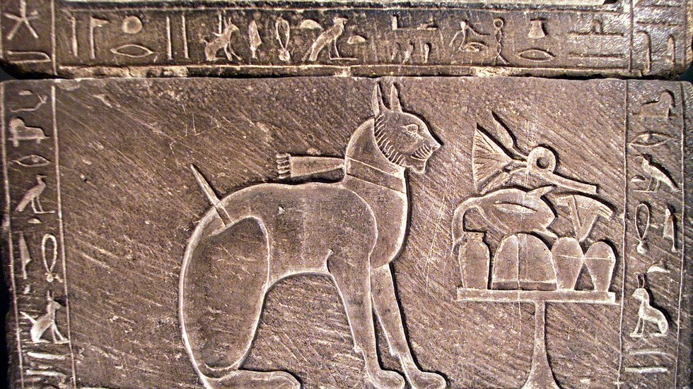 مصر.. اكتشاف قطط محنطة كبيرة الحجم