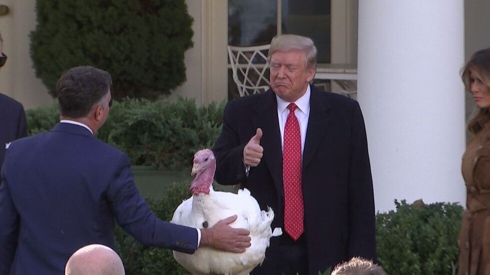 ترامب يعفو عن ديك عيد الشكر"الزبدة" ويهاجم الديمقراطيين