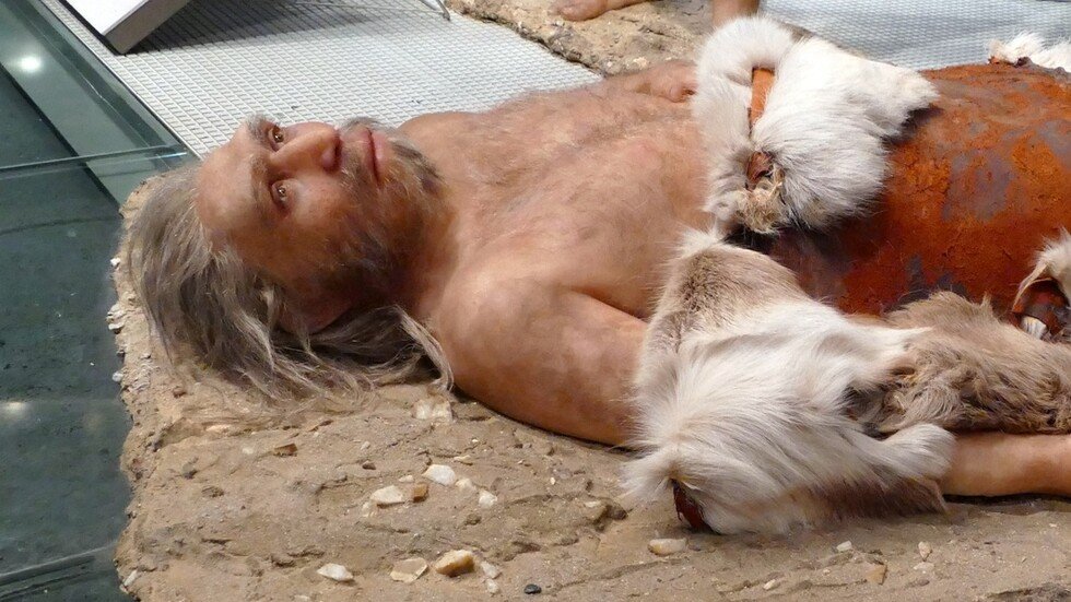 العلماء يكشفون أسباب انقراض النياندرتال