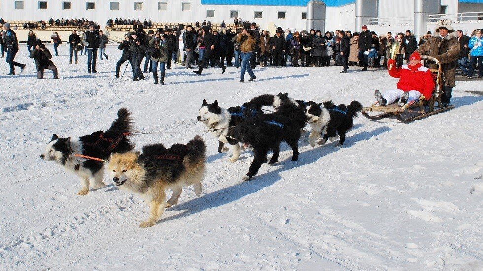 العثور على جثة في الجليد لأقدم كلب في العالم (صورة)