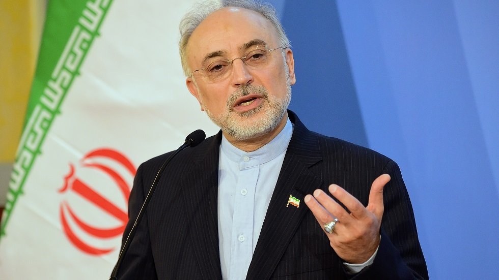 إيران تبدي استعدادها لمساعدة دول الخليج في الطاقة النووية