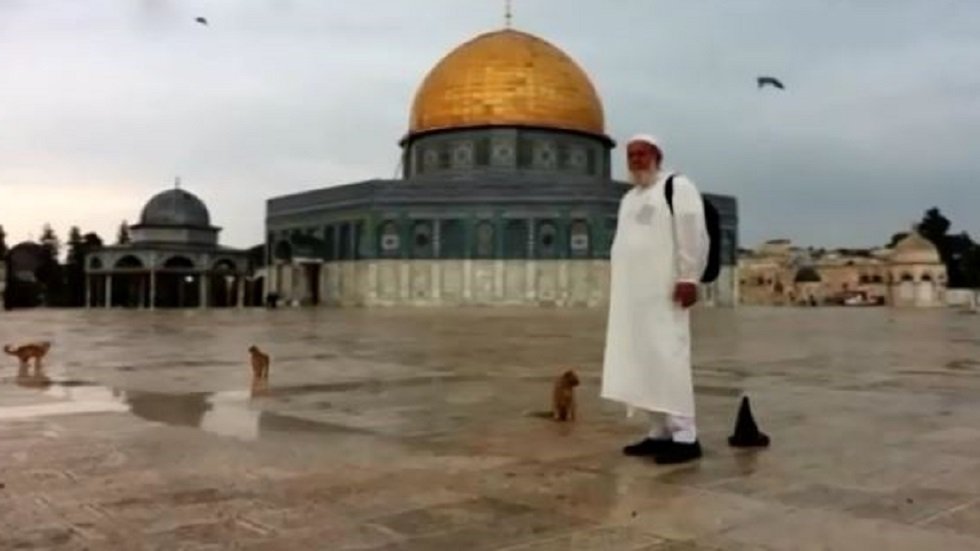 حاج فلسطيني: جميع قطط المسجد الأقصى تعرفني