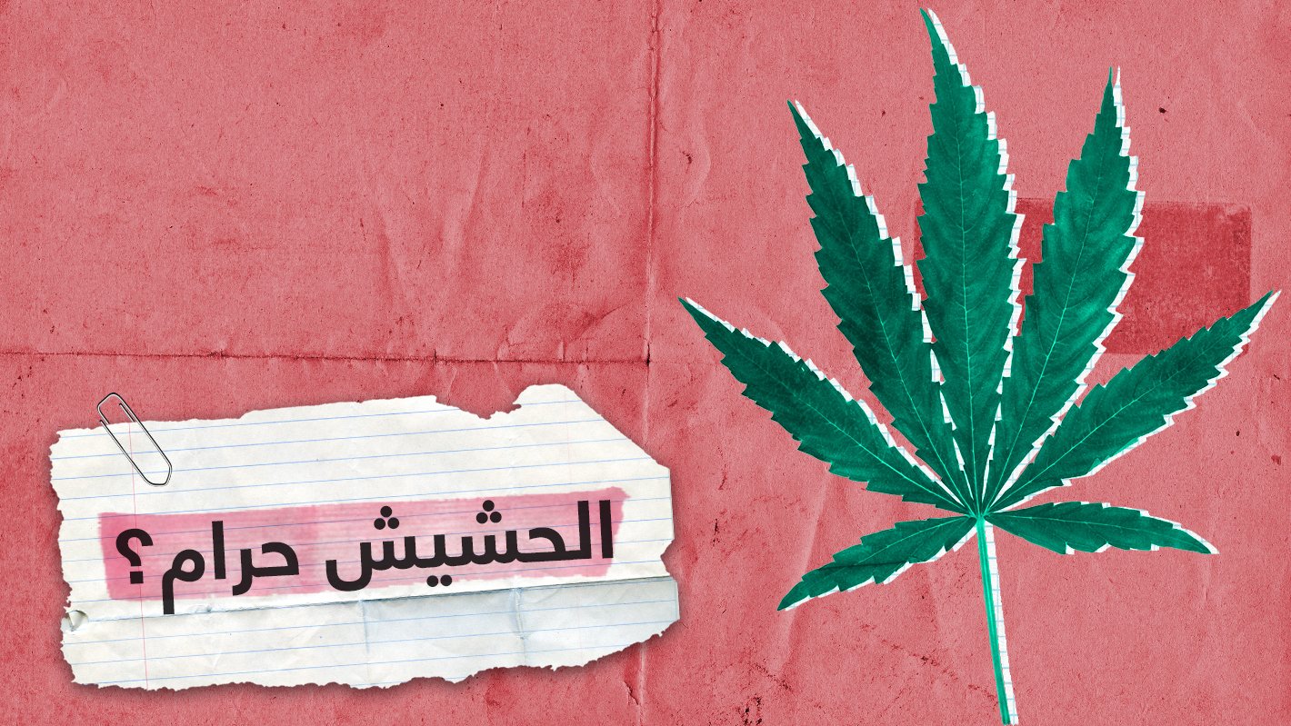 "الحشيش ليس حراما والسجائر أخطر منه".. شاهد الحلقة الكاملة على RT online