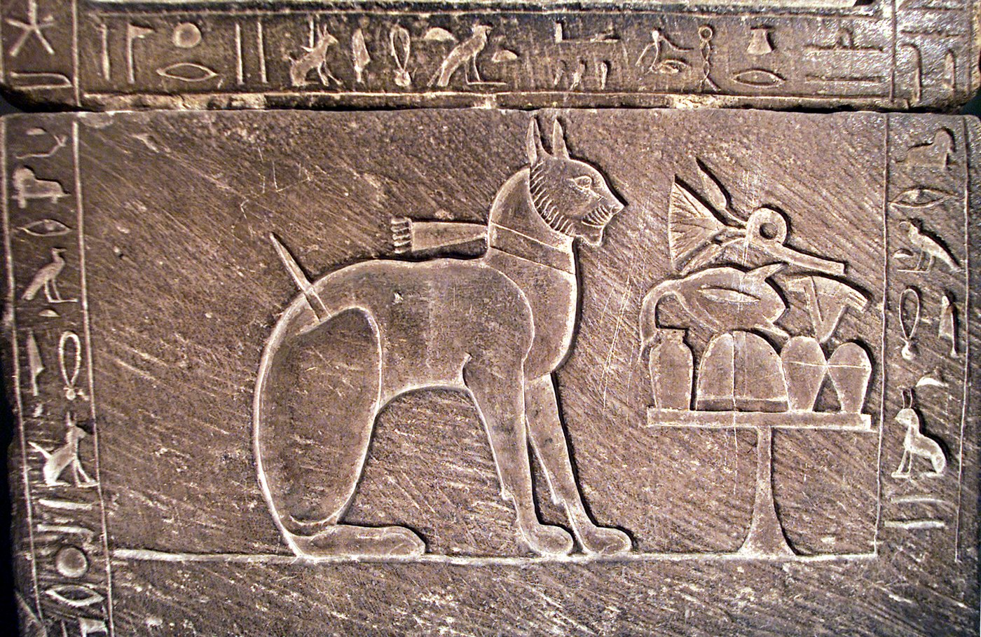مصر.. اكتشاف قطط محنطة كبيرة الحجم