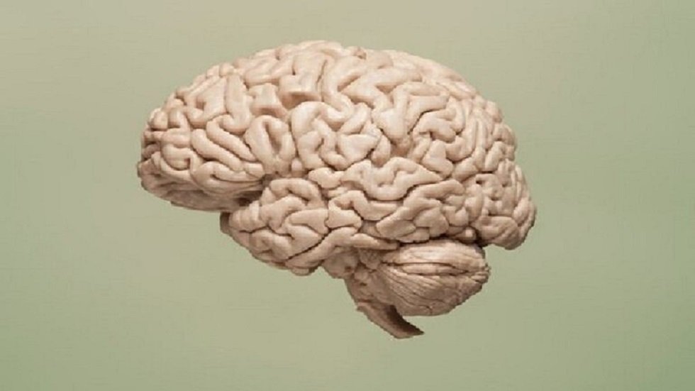 مسح للدماغ يوضح كيف يمكن البقاء على قيد الحياة بنصف مخ!