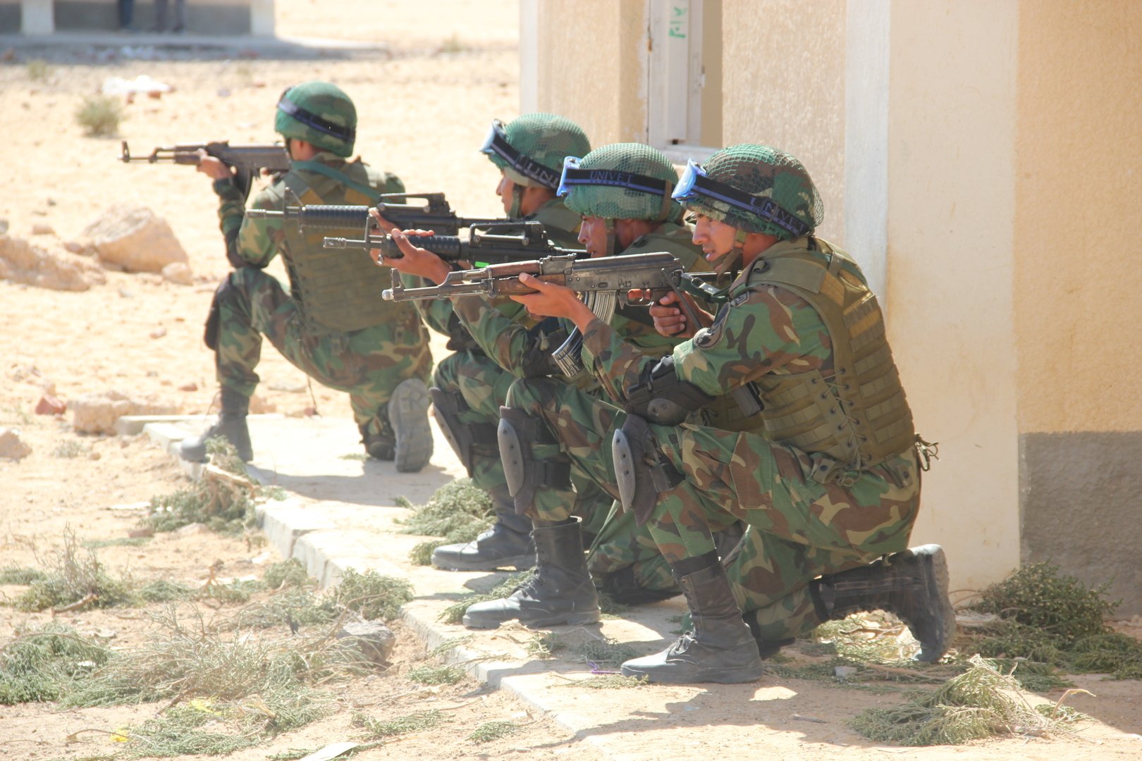 لجنة الدفاع والأمن القومي المصري تؤكد جاهزية الجيش الثالث الميداني