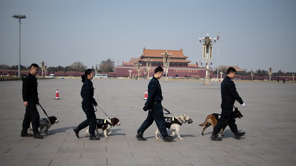 الصين تستنسخ 6 كلاب بوليسية بهدف ضمها للشرطة