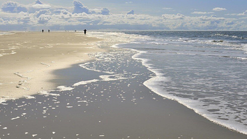 توقع ظهور مناطق موت واسعة على كوكبنا