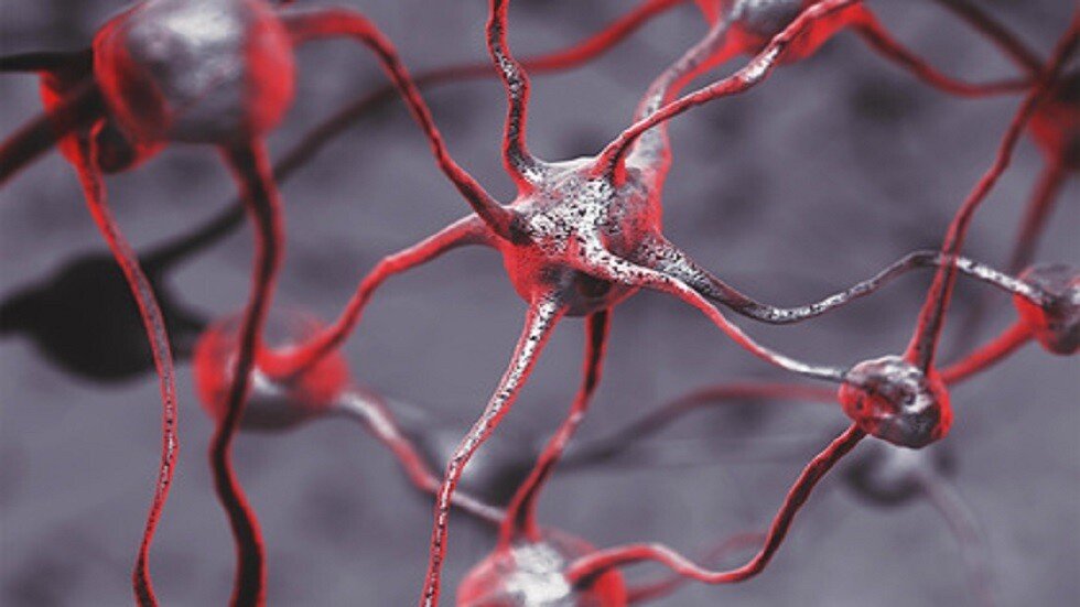 حل لغز ولادة الوعي في الدماغ