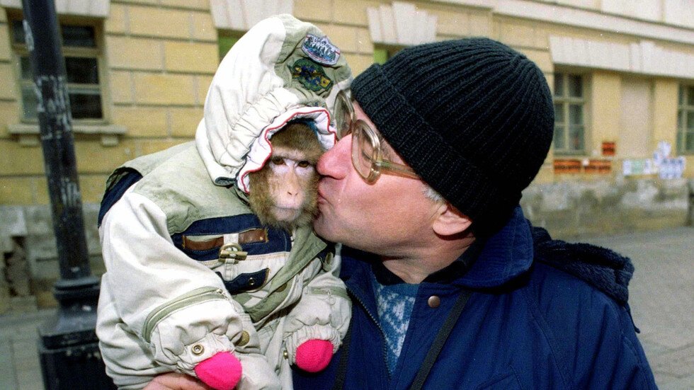 وزير صحة مصري سابق يحذر من عواقب "البوس"!