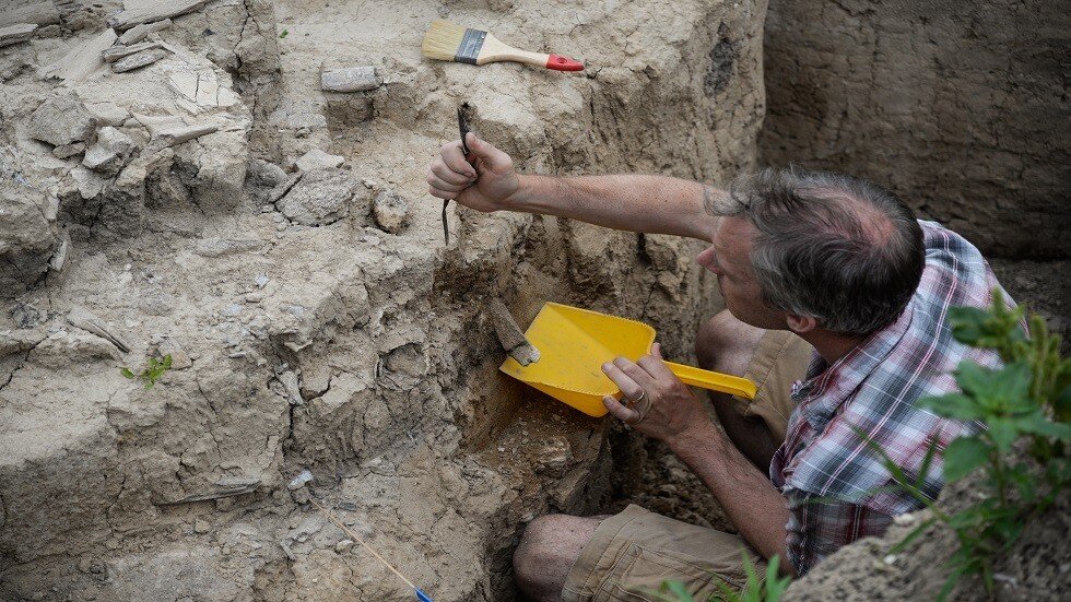 لأول مرة .. العثور على عظم لفيل الماموث المنقرض في ضواحي موسكو
