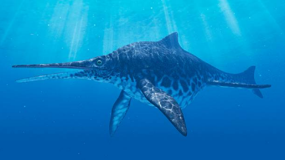 كلاب تبهر صاحبها باكتشاف عمره 65 مليون عام