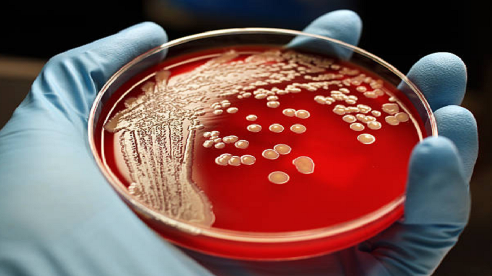 علماء يحققون اكتشافا قد يوقف نمو 