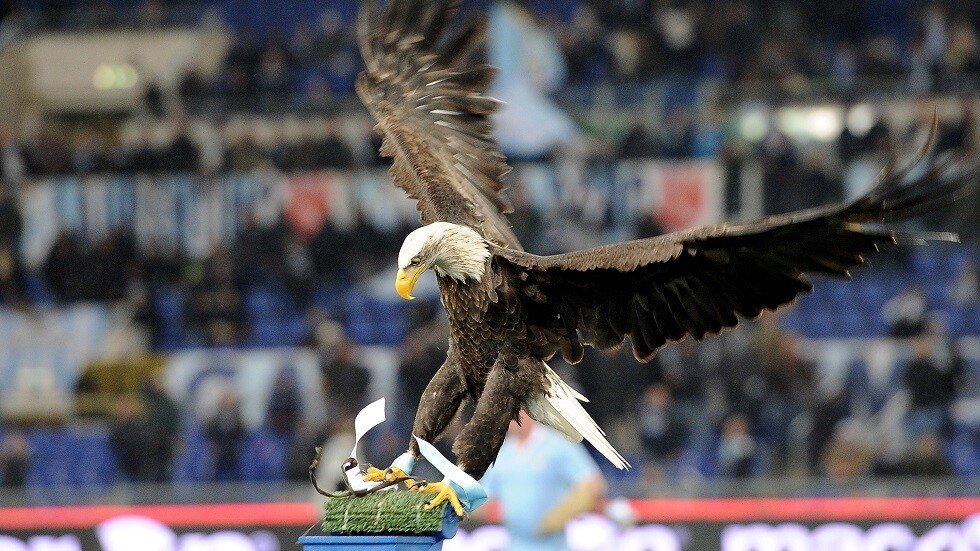 شاهد.. النسر كاتالديفي يطلق 