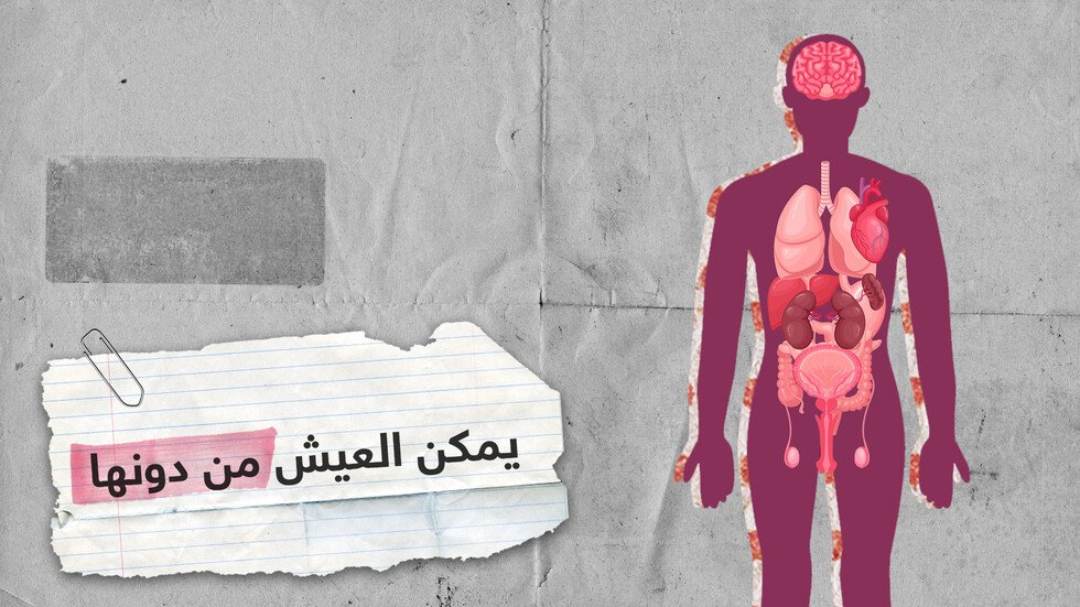 تعرف على أعضاء الجسم التي يمكن أن تعيش من دونها