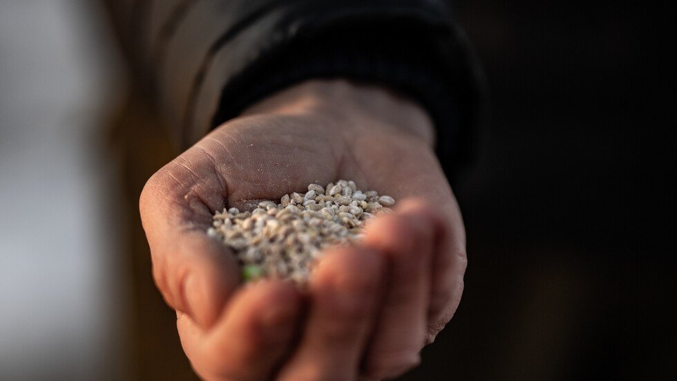 شحنة حبوب من روسيا إلى سوريا