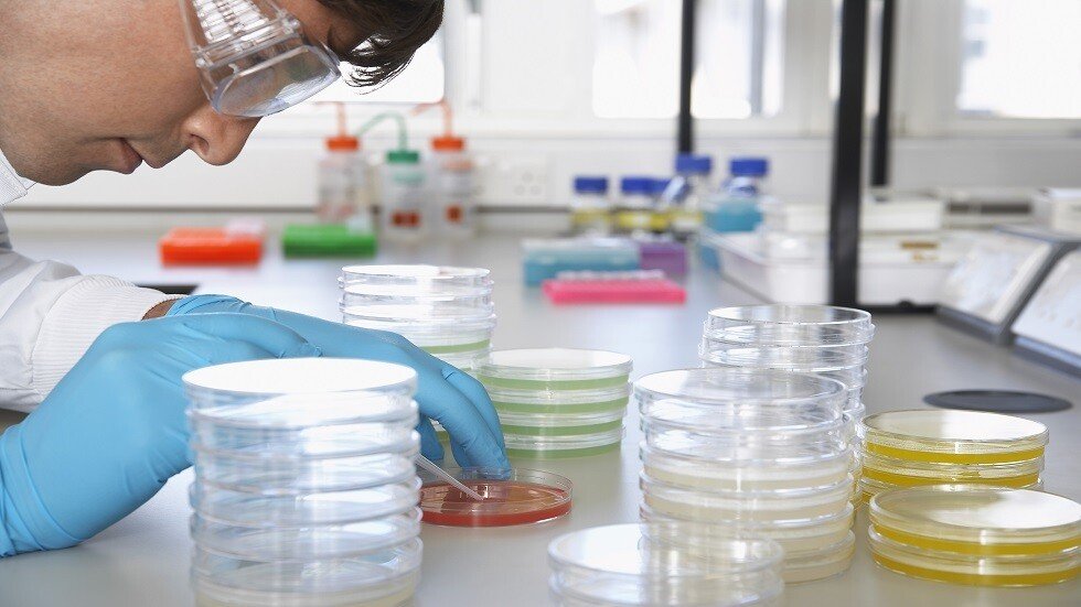 اكتشافات غير متوقعة في عام 2019