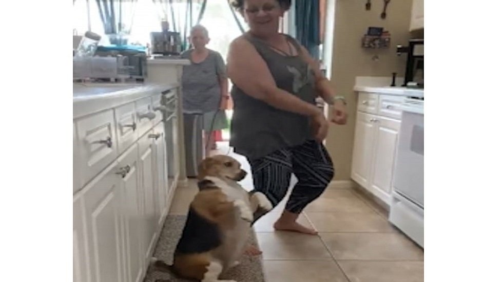 كلب أمريكي يبدع برقصة لطيفة!