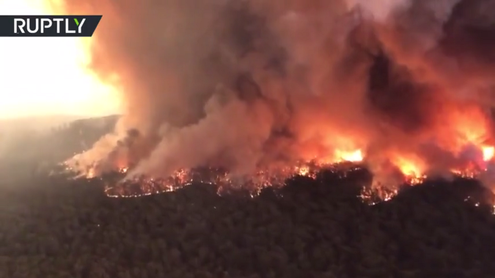 أستراليا.. نفوق نصف مليار حيوان حرقا في الغابات