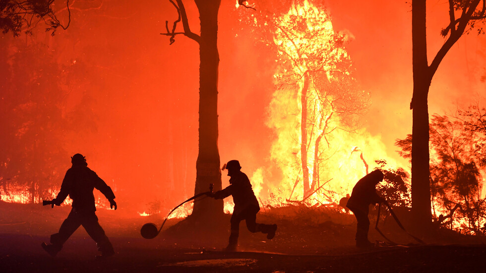 نفوق أكثر من مليار حيوان جراء حرائق أستراليا المتواصلة