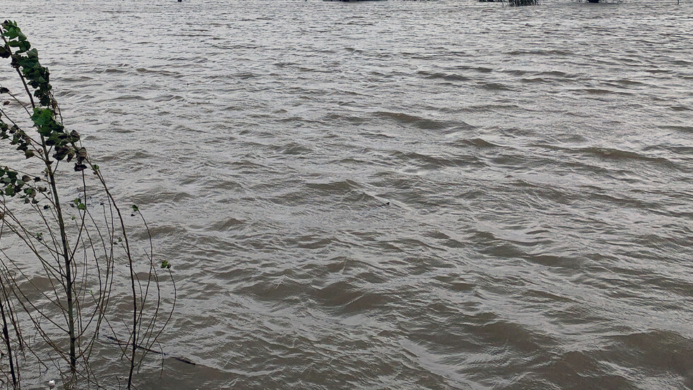 أردني يضحي بحياته لإنقاذ كلاب من الغرق