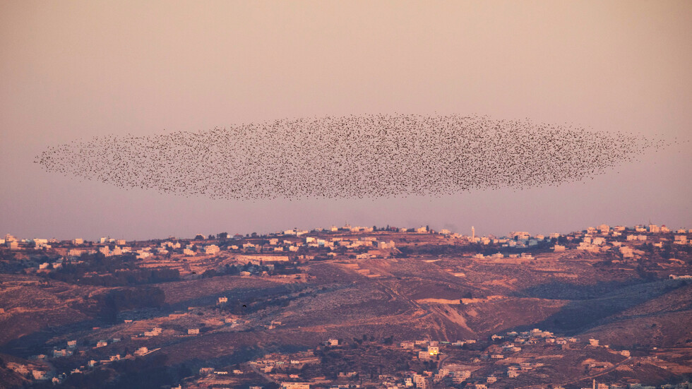 الاستيطان الإسرائيلي.. تل أبيب تعلن إنشاء 7 محميات طبيعية جديدة في الأراضي الفلسطينية
