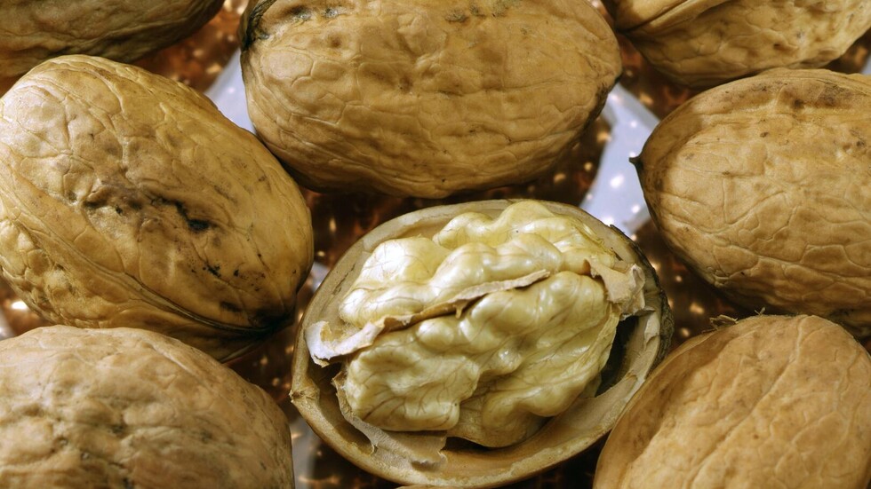 دراسة: تناول الجوز مفيد للقلب والأمعاء