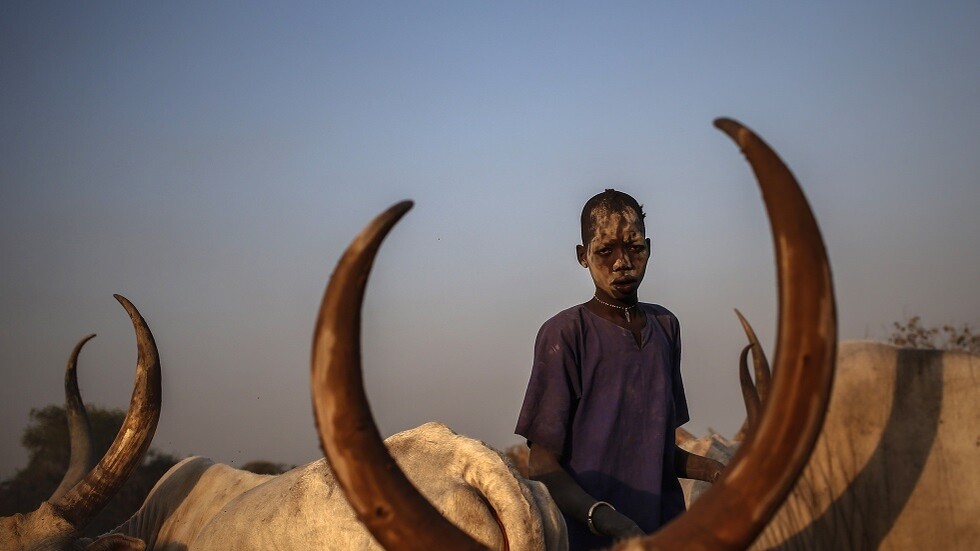 مقتل 29 شخصا بهجوم مسلح في دولة جنوب السودان